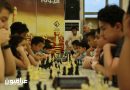 إحتفاءاً بيوم الشطرنج .. مؤسسة الغد تنظم احتفالية لمجموعة من الموهوبين
