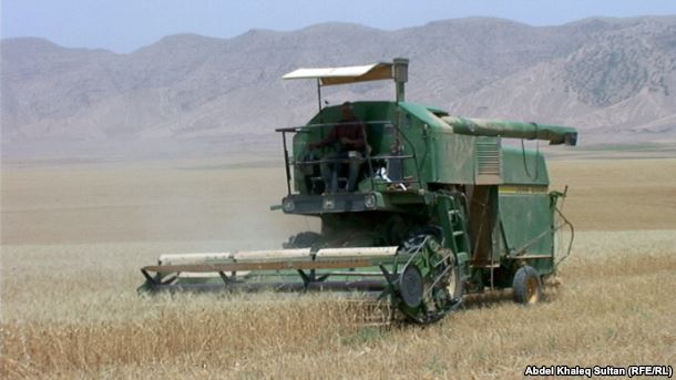 مكتب رئيس الوزراء: الحكومة  اعدت اسعار شراء تشجيعية للمحاصيل الزراعية الاستراتيجية