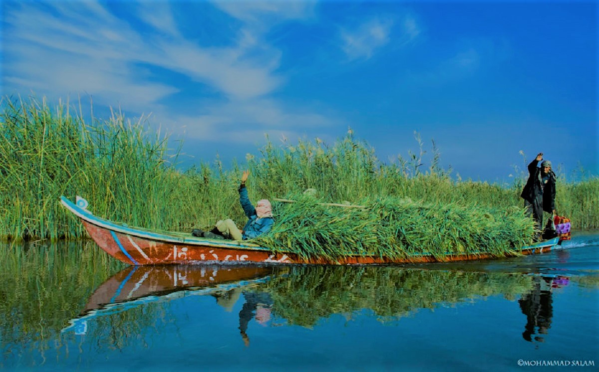 الأهوار العراقية.. جنة الله التي تكافح من أجل البقاء