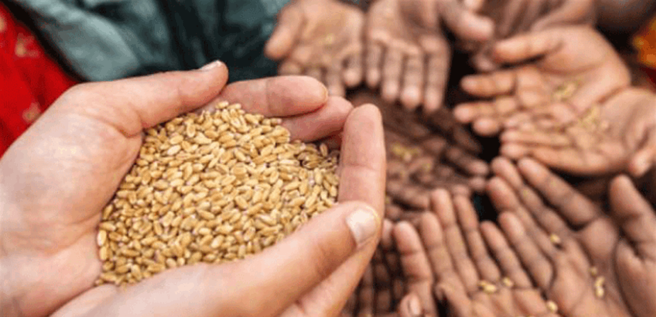 تقرير الأمن الغذائى العالمي 2020: توقعات بـمعاناة 132 مليون شخص من الجوع بسبب كورونا