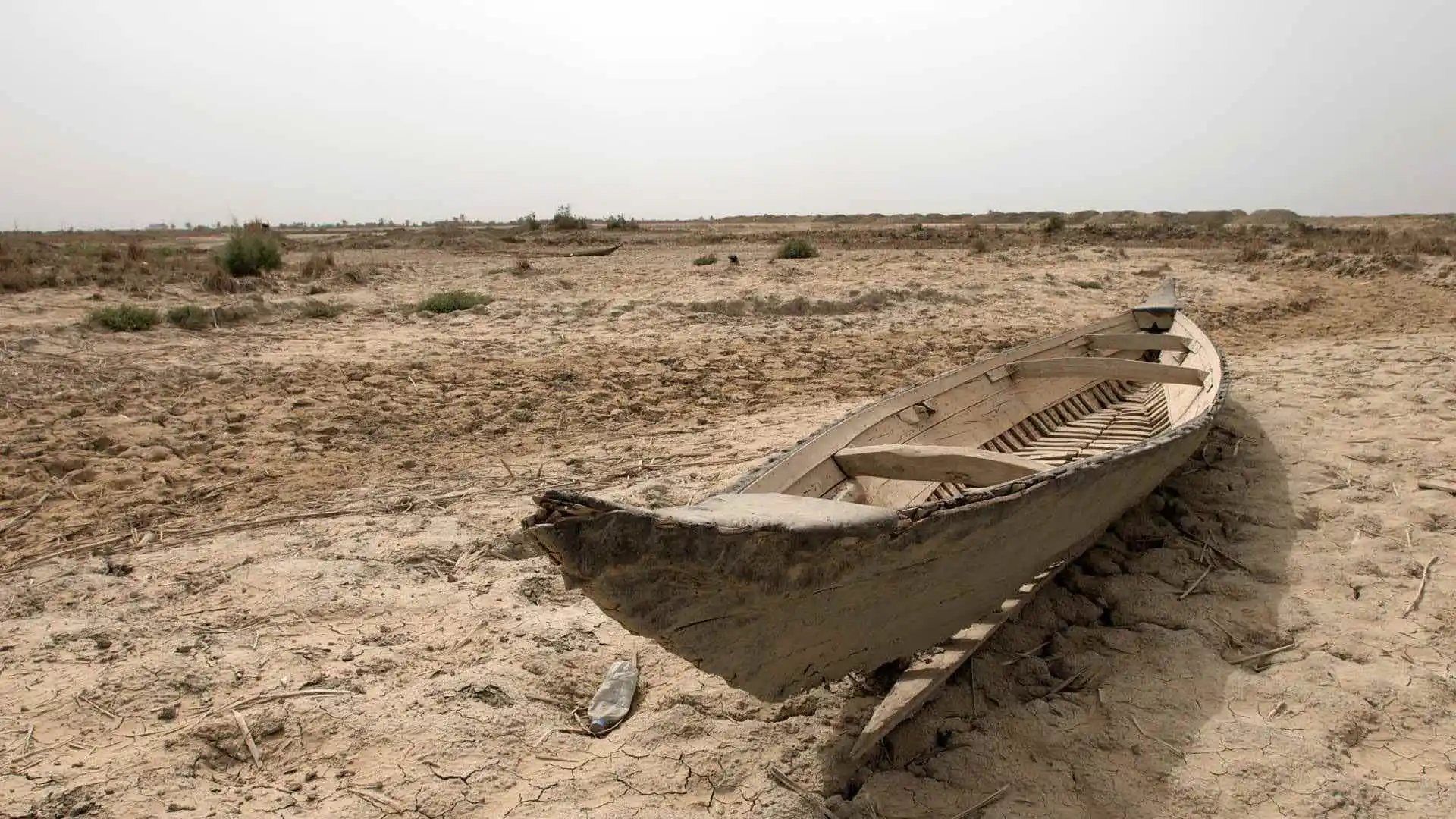 كارثة بيئية.. التصحر يجتاح 70% من مساحة العراق