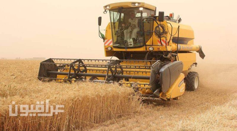 زراعة نينوى: موسم الحصاد الحالي لمحصول الحنطة فاق التوقعات