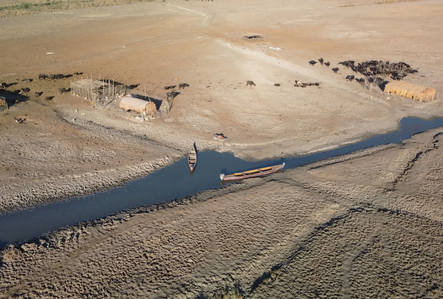 الفاو محذرة: تراجع شديد بمياه الأهوار بسبب موجة الحر