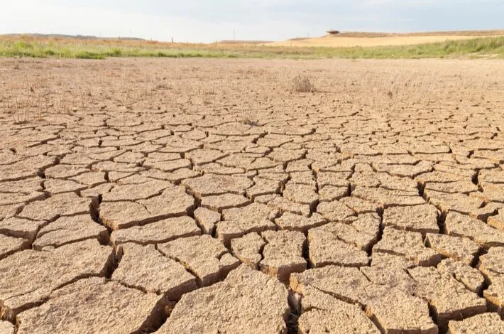 انخفاض الاراضي الصالحة للزراعة في العراق من 80 الى 14 مليون دونم