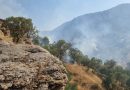 قصف جوي تركي يتسبب بنشوب حرائق في غابات شمال اربيل￼