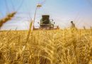 وزير التجارة: خزين الحنطة يتجاوز المليوني طن والعراق غادر القائمة الدولية بتضخم أسعار المواد الغذائية