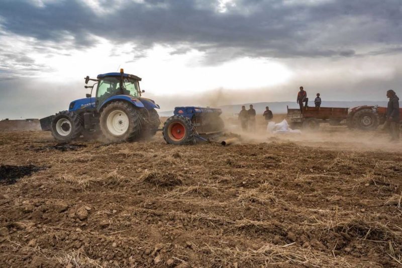 الزراعة : انخفاض معدلات الأمطار قد يؤدي لزوال الخطة الزراعية