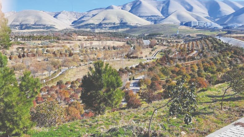 ثلاث شجرات لكل مواطن.. السليمانية خضراء