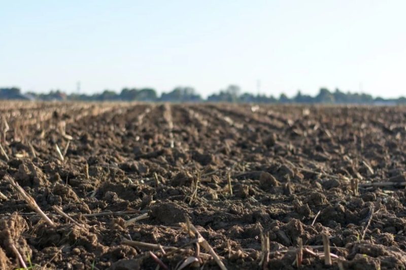 هيئة النزاهة تضبط 11 متهمًا استولوا على 100 دونم من أراضي الدولة في نينوى