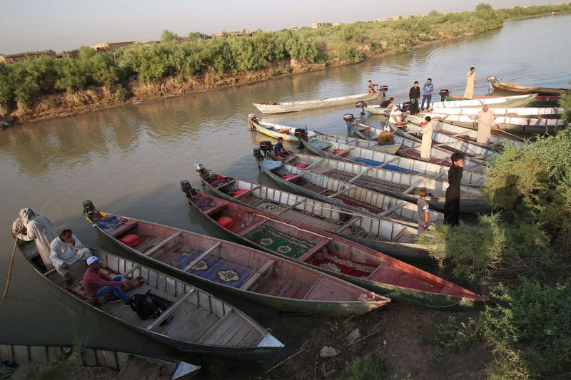 “إبادة صامتة” في الأهوار.. مرصد العراق الأخضر يحذر من فقدان آلاف الطيور المهاجرة